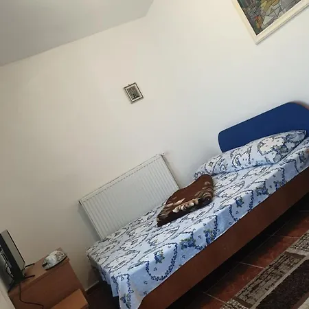 Pensiune Vila Pescaruş *