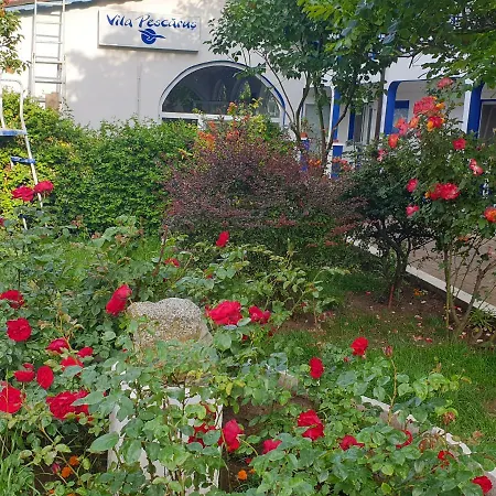 Pensiune Vila Pescaruş