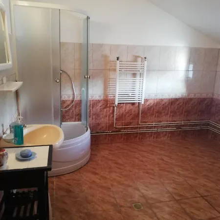 Pensiune Vila Pescaruş